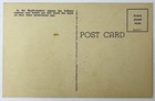 Rare Vintage Postcard Native American Indian Squaws And Their Papooses T63