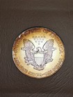 1996 Silver Eagle Toned  1 Silver Dollar Rainbow Toning Fine Silver Coin 