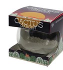 Buzzy Diy Cactus Terrarium Complete Kit  Glass rocks medium   Seed Pack Desktop 