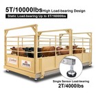 Livestock Scale Kit Cattle Hogs Sheep Goats Pigs Squeeze Chutes 10 000 Lbs  -