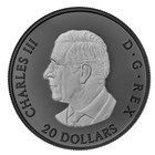          2025 Canada  20 Dollars Pure Silver Coin  Elegant Maple  Rhodium  2025