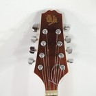 Baja A-model Mandolin Sunburst 8 String With Backpack Soft Case   Pitch Pipe