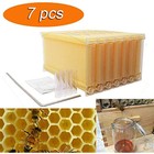 Auto Beehive Bee Hives Beekeeping Brood Super House Box  7 Honey Bee Hive Frames