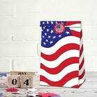  12 Pack American Flag Gift Bags 4th Of July Party Paper Bags For Fourth Of 