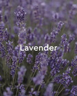 12 Ct -  Kneipp Bath Oil  Relaxing Lavender  0 67 Fl  Oz
