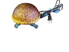 Vintage Turtle Night Light Lamp