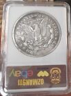 Hobo Silver Morgan Dollar Medusa United Snakes Of America 90   Signed