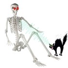 6ft Halloween Hanging Life Size Skeleton With Led Glowing Eyes   Shrilling Sound