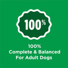 Purina  Complete  Dry Dog Food For Adult Dogs High Protein  Real Chicken  44 Lb