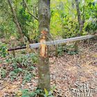 Viking Sword Handmade 5160 Spring Steel Double Edge Full Tang Master Sword 38 