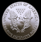 1989  American Silver Eagle  1  Oz   Pure Fine Silver Bullion Coin  999  Bu-unc
