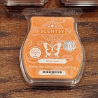 Scentsy Wax Bars Halloween Fall Lot Of 3 Pumpkin Warmer Melts 3 2 Oz Packs New
