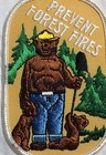 Vintage Smokey Bear   Cubs Prevent Forest Fires Us Forest Service Souvenir Patch