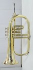 Flugelhorn Brass Finish Bb Pitch With Hard Case And Mouthpiece