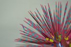 Alebrije Porcupine Hand Made Wood Carving Folk Art Oaxaca Mexico 4 X 5 5 