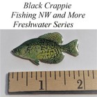 Pin Pals Black Crappie Hat Or Lapel Pin - Freshwater Series