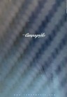 Campagnolo Catalog 2002 English