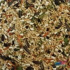 Sweet Harvest Cockatiel W Sunflower Seed Bird Food 4 Lbs