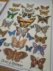 Emek Dead   And Company 2019 Tour Poster Butterflies
