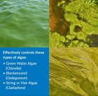 Api Pondcare Algaefix 1 Gallon Pond Algae Control 169c