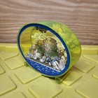Vtg Fish Aquarium Frutiger Aero  Green Blue Seashells Made In Japan Desk Display