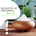 Lime Essential Oil 100  Pure Many Sizes Free Shipping