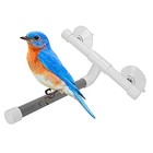 Parrots Bath Perch  Bird Shower Stand  Pvc Safe With 2 Suction Cups For 