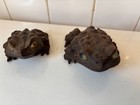 Vintage Japanese Cryptomeria Sugi Frogs  2  Hand Carved Cedar Wooden Horny Toads