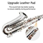 Alto Saxophone E Flat Silver Lacquer Sax Full Kit With Carrying Case mouthpiece