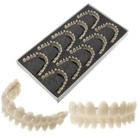 10pcs Full Set Upper Lower Shade Dental Synthetic Resin False Fake Teeth Denture