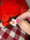 Rare Set Of 2 Errors Ty Beanie Buddy Snort The Bull Plush Toy - 4002