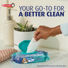 Charmin Flushable Wipes  480 Total Wipes  12 Packs Of 40 