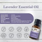 Lavender Essential Oil 100   Pure Natural Premium Therapeutic Grade