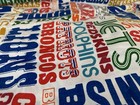 Vintage 1980s Classic Nfl Logo Fabric Approximately 100 X 70 75 Inches