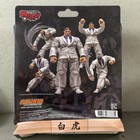 Damaged Box Storm Arena Baki Hanma - Kaoru Hanayama 1 12 Scale Action Figure