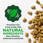 Greenies Feline Adult Dental Cat Treats  Oven Roasted Chicken Flavor  2 1 Oz