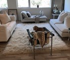 The Thickest Flokati Rug Made   Ultra-plush 4 5  Pile   Greek Flokati   Wool Rug