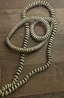 Vtg Western Electric Bell System Trimline Touch Tone Wall Telephone Yellow