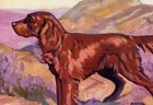 C1950 Vintage Irish Setter Print Wall Art Decor Ken Harrow Art 5357k