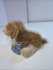 Ganz Webkinz Cocker Spaniel Dog Hm011 Plush New With Unused Code Nwt
