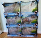 Breyer   Bravour 54   Breyerfest Celebration Traditional Model Horse