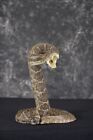 Real Taxidermy Mounted Western Diamondback Rattlesnake Striker  39-43 