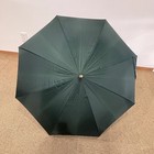 Louis Vuitton Long Umbrella Green Unisex 91cm Wooden Handle Gold Hardware Used