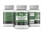 Holy Natural Chlorella Capsules  120 Capsules