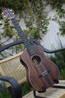 Ukulele Ebony Wood Soprano  Concert  Tenor Or Baritone Wi wt Eq  canadian Brand 