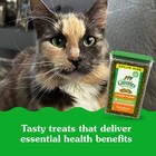 Greenies Feline Smartbites Healthy Indoor Natural Treats For Cats Chicken Fla   