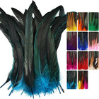Colorful Rooster Tail Feathers-50pc 10-12inch Natural Long Aqua Blue