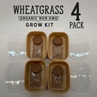 Organic Wheatgrass Premium Grow Kit 4 Pack   Whetagrass Juice   Catgrass