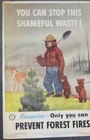 Vtg 1950 Smokey Bear Poster   you Can Stop This Shameful Waste    Usfs 18 X 25  