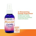 Meowijuana 3 Inches X 2 X 2 Inches  Catnip Spray With Silvervine